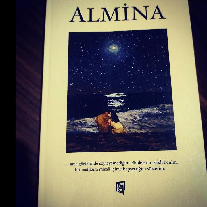 EĞİTİME DEĞER EDEBİYATA ALMİNA