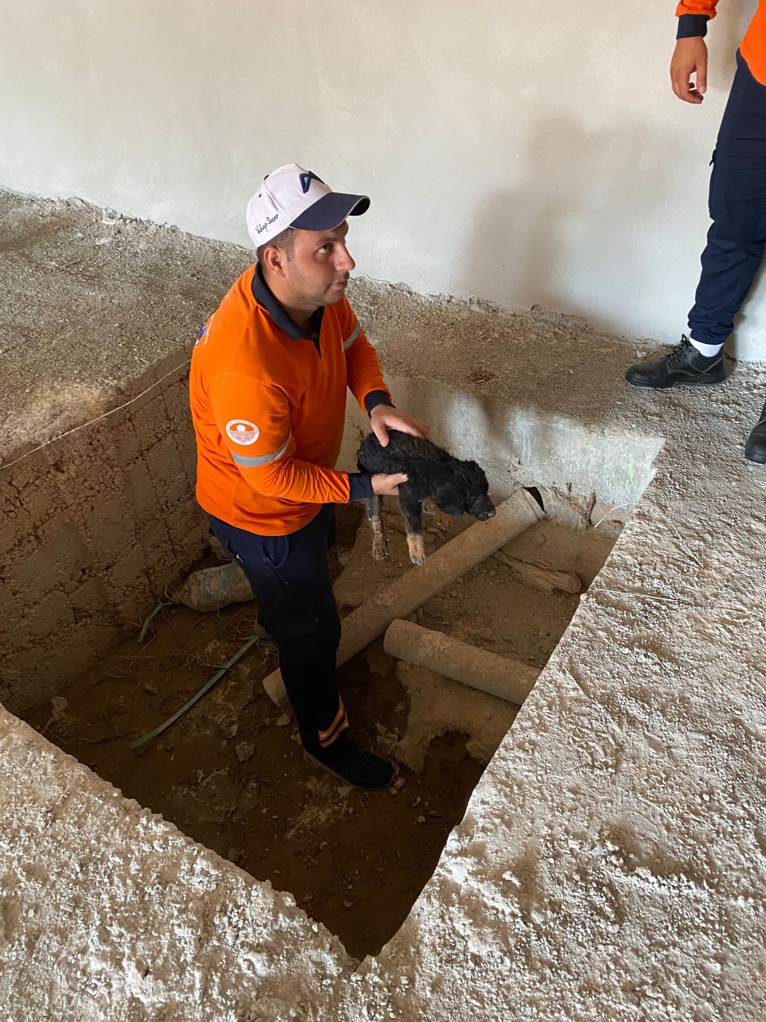BÜYÜKŞEHİR EKİPLERİ, ASANSÖR KUYUSUNA DÜŞEN VE GÖZLERİ GÖRMEYEN YAVRU KÖPEĞİ KURTARDI