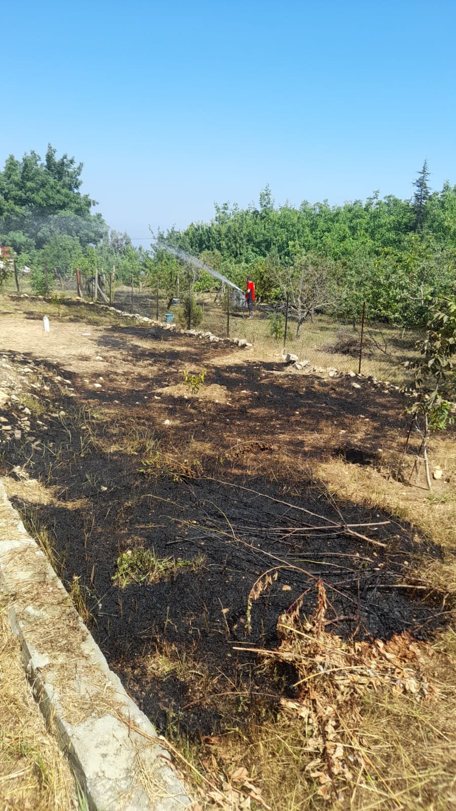 ÇAMLIYAYLA’DA YAYLA EVİNİN BAHÇESİNDE YANGIN 