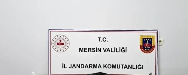 JANDARMADAN UYUŞTURUCU OPERASYONU! 3 ŞÜPHELİ GÖZALTINA ALINDI